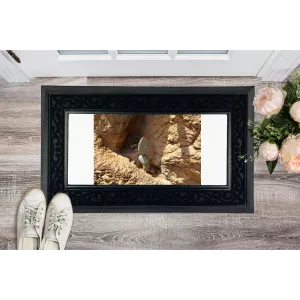 Cactus Sublimation Heavy Duty Door Mat