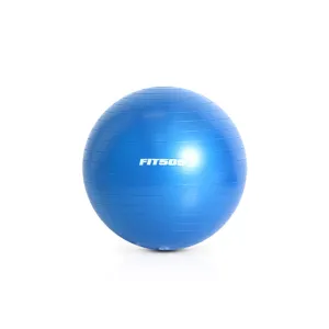 FIT505 55cm Stability Ball